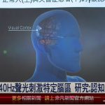 國內外研究證實 40Hz聲光刺激特定腦區可改善認知! 